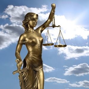 Meet your Posher, Daisy